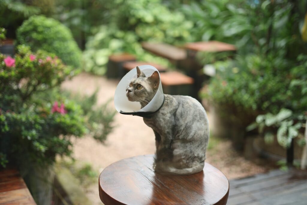 Revalidatie techniek maakt bewegen weer mogelijk